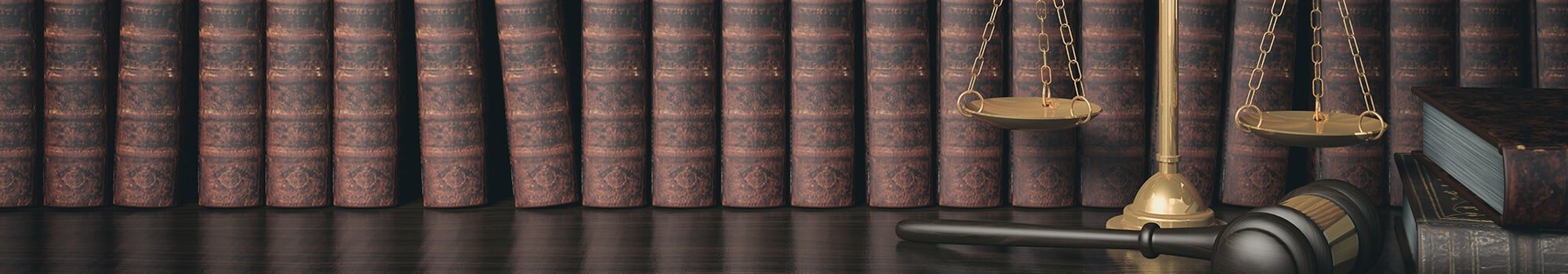 FDR Legal Advice & Consulting — lo que hacemos